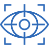 vision